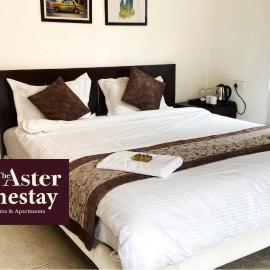 The Aster Homestay - Bedrooms & Apartments, hotel in Kolkata