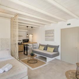 Nevma Naousa Boutique Apartment