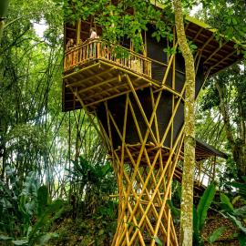 Buga में, होटल Eco Hotel Hacienda El Diamante