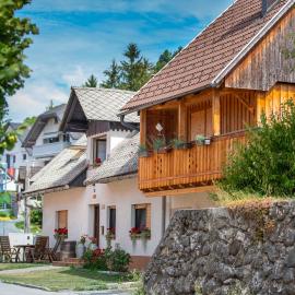 Stol Apartments, hotel in Žirovnica