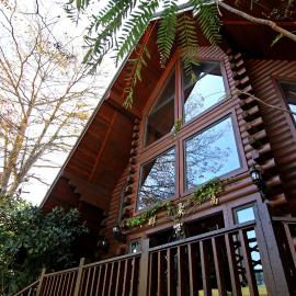 Sun Moon Lake Full House Resort، فندق في يوشيه
