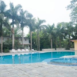 Chitwan Paradise Hotel, hotel in Sauraha