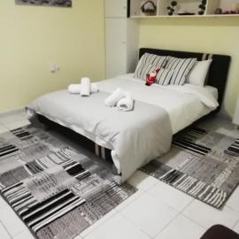 COZZY STUDIO IN NEA MAKRI