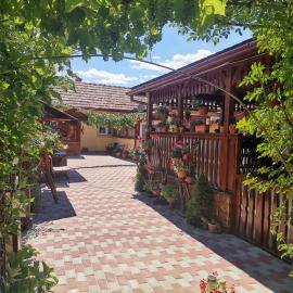 Casa Dana, hotel in Haţeg