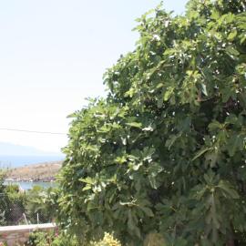 Condo Rentals, hotel a Sarandë