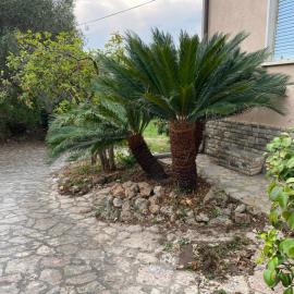 Il giardino delle Cycas, hotel a Il Romito