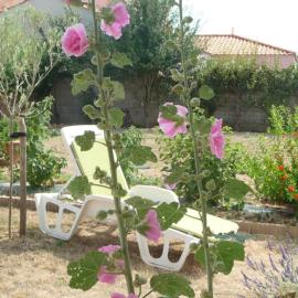 Chambre d'hôte Fleur de Potager, hotel in Les Sables-d'Olonne