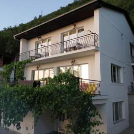 Vila Visni