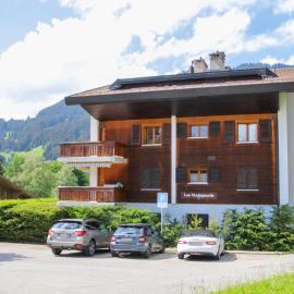 Apartment Montagnards 17 by Interhome