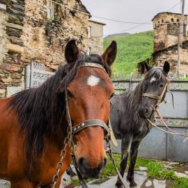 Bori's Guesthouse, hotel en Ushguli