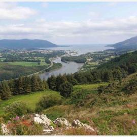 Entire Cottage The Nest, Omeath near Carlingford, hotel in Tullaghomeath