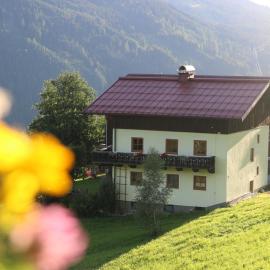 Molteraugut