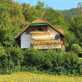 APARTMENT WITH A VIEW, hotel in Bohinjska Bistrica