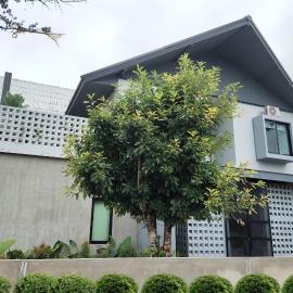 H1boutique, hotel din Ban Nong Tum