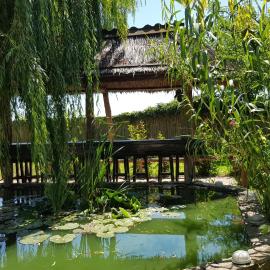 Pensiunea Iubire de Delta " La Traian ", hotel u gradu Murigiol