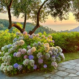 Incanto-Romantic Sea-View Hideaway With-Private Parking&300mq Garden