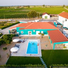 Delmira Vineyard House, hotel di Águas de Moura