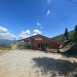 Cabana De Vis Pietrosul, hotel in Borşa