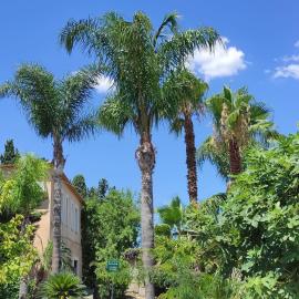Agriturismo La Calabrisella