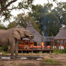 Hoyo Hoyo Safari Lodge, hotel in Mluwati Concession 