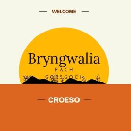 Bryngwalia Fach、Cribynのホテル