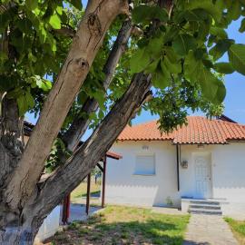 White Clam Vintage House with sea view & garden