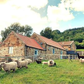 Luddie's Country Cottages - Rose Cottage، فندق في Aislaby