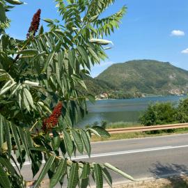 Dijanin Konak, hotel u gradu Zvornik
