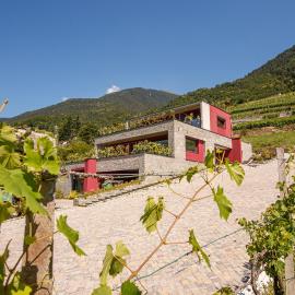 Nebbiolo Wine B&B - Winery & Vineyard Valtellina
