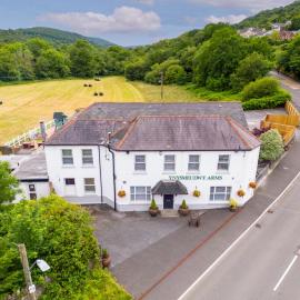 Ynys Arms