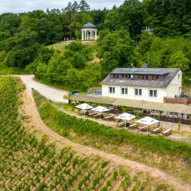 das Rebenhaus
