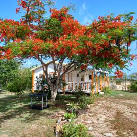 Bungalow au soleil