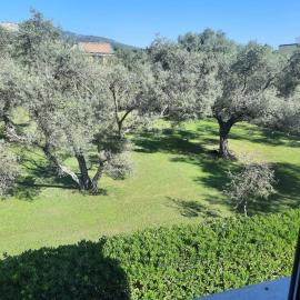 Dolce Relax - Calabria, hotel Catanzaro Lidóban