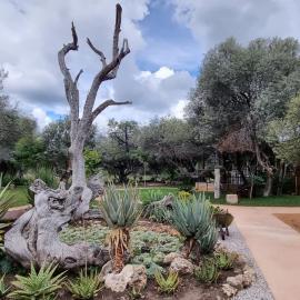 Olienhoff Guesthouse and Rest Camp, hotel a Otavi