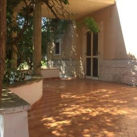 Masseria Elefante, hotel v destinaci Turi