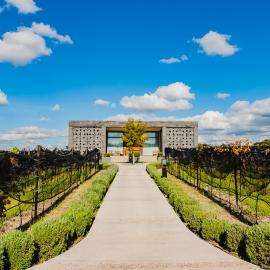 Los Galvanes में, होटल Casa Raíces Hotel Luxury & Viñedo