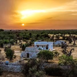 Casa Barzò - surrounded by olive trees