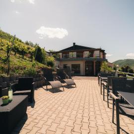 Urlaubsweingut Zecherhof，Neef的飯店