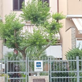 La Mimosa, hotel a Porto Garibaldi