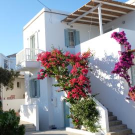 ARK Tinos