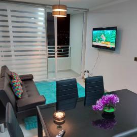 Arriendo Diario En La Playa Sector Casino ENJOY