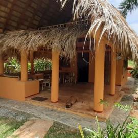 Casa 3 amigos-Palm roofed house, hotel in Las Galeras