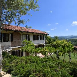 Cascina Flino - Tra le vigne - Appartamento 2