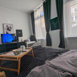 Schönes Appartment im Zentrum von Koblenz II, viešbutis Koblence