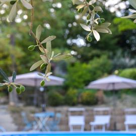 Agriturismo L'Arte del Verde – hotel w Amelii