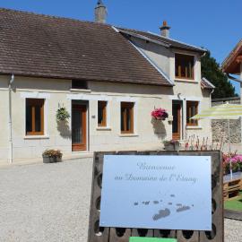 le Domaine de L étang Le Merger, hotel in Oeuilly