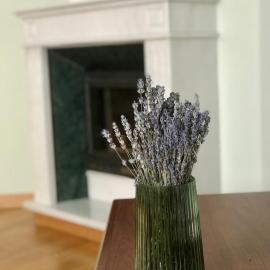 Family apartment near the University, hotel in Chernivtsi