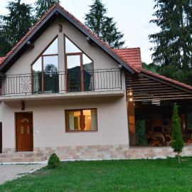 cabana din padure, hotel in Finiş