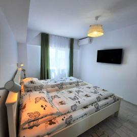 Casa Calin – hotel w mieście Crișan