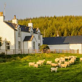 Diamonds Laggan